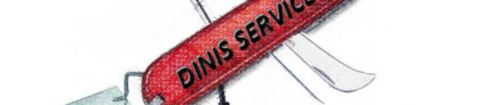 David D. (dinis services)