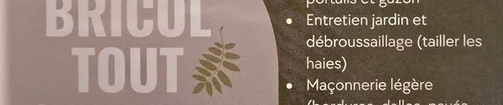 Sarsu F. (BRICOL TOUT)