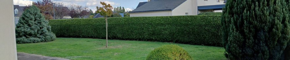 Erik B. (EB NETTOYAGES)