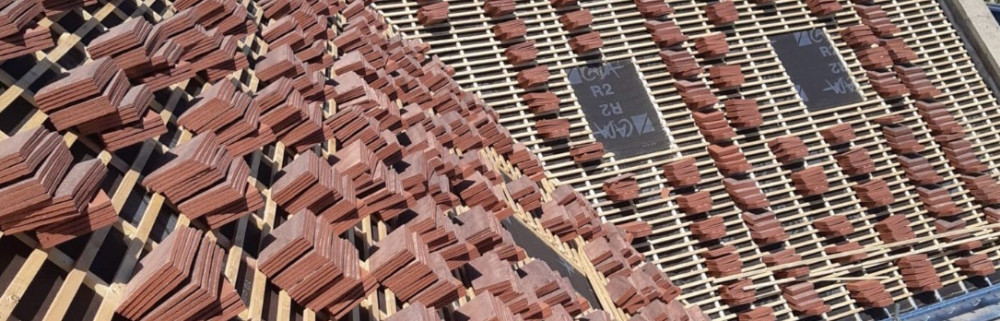 Franzy R. (Franzy Renolde)