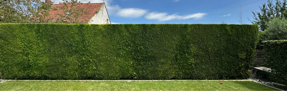 Warren D. (WM PAYSAGE)