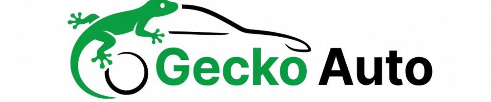 Erwoan B. (Gecko Auto)