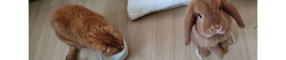 Mélissa D. (Mél'garde)