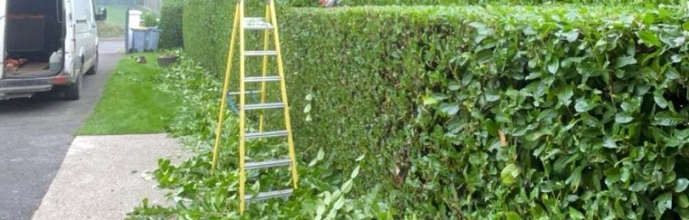 Sean R. (ENT RUOTTE)