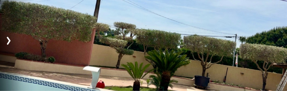 Jonathan B. (Jonathan Barbarisi)