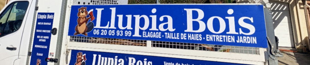 Jonathan G. (Llupia bois)