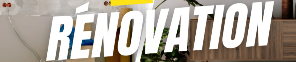 Miguel P. (Miguel Pereira rénovations ...