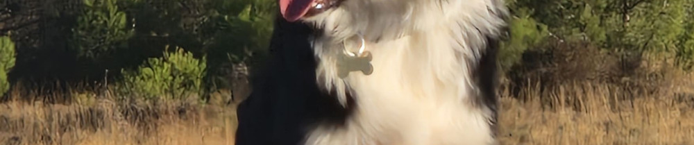 Titi G.