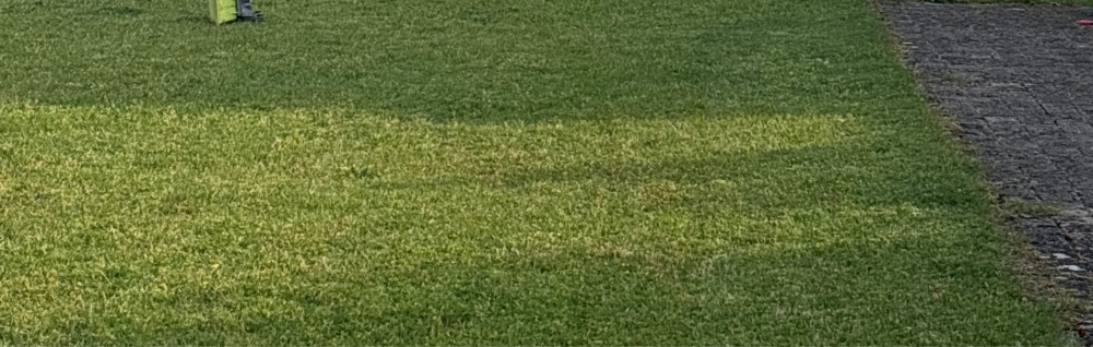 Romain C. (casseneuve)