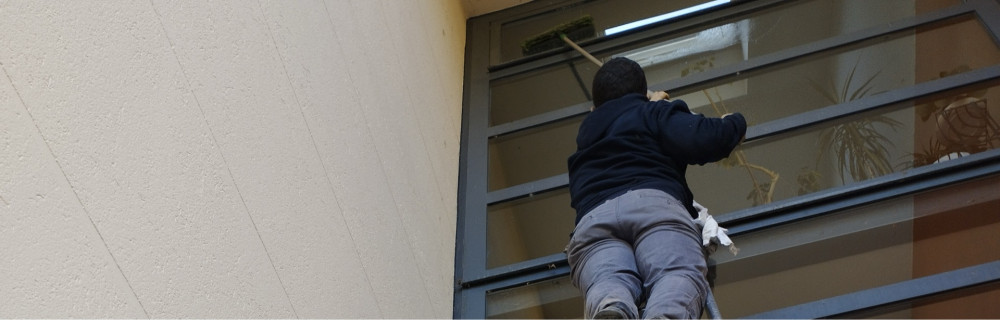 Ribeiro Dos Santos B.