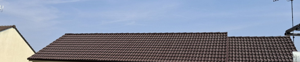 Christopher D. (Dc bat)