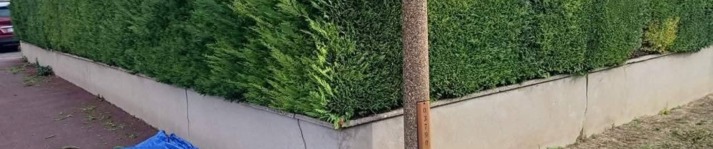 John D. (Dassonville John)