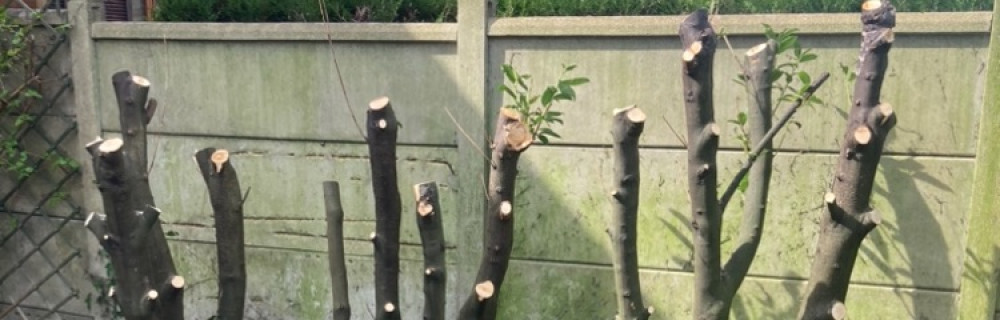 Les Jardins De Fortuné F.