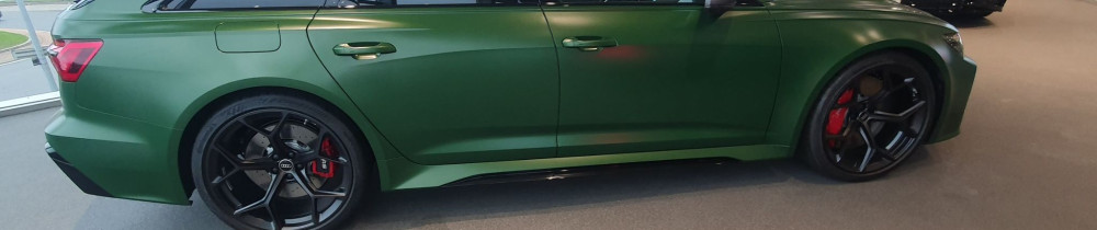 Damiano S. (Anelio&Dalvi Skoda Electri...