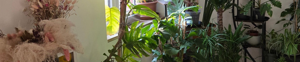 Emilie J. (Emyclean)