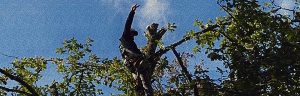 Sullivanne O. (sullivanne parce et jar...