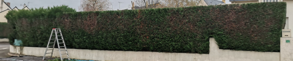 Vincent T. (Vince MultiServ)