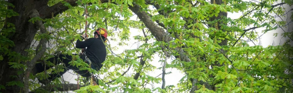 Hugo M. (Arb’Osoin)