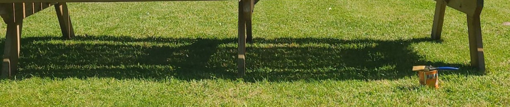 Steve R. (artisan roge)