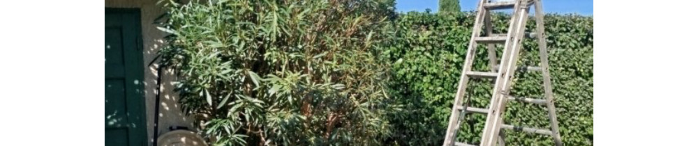 Francois G. (Multi services espace ver...