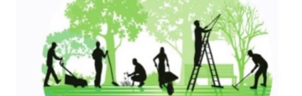 Maicky S. (Sos Multiservices)