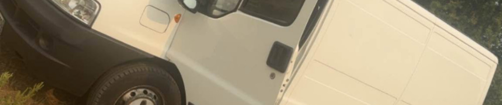 Dylan G. (D-G multiservice pro)