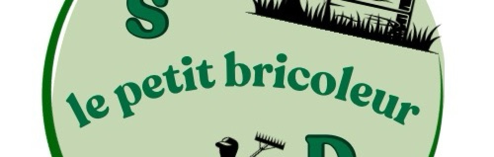 David D. (SD le petit bricoleur)