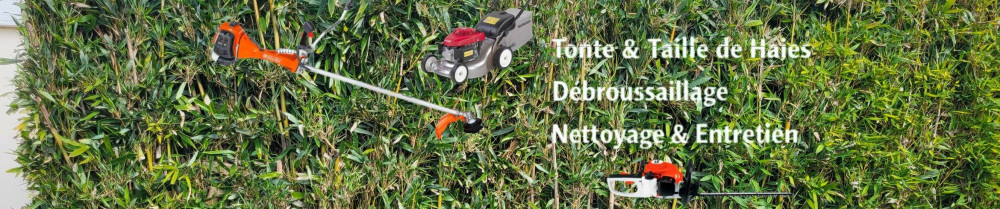 David B. (Davi’x Services)