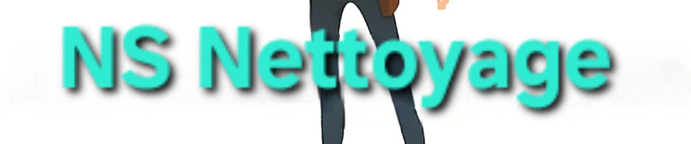 Nicolas S. (NS MULTI-SERVICE)