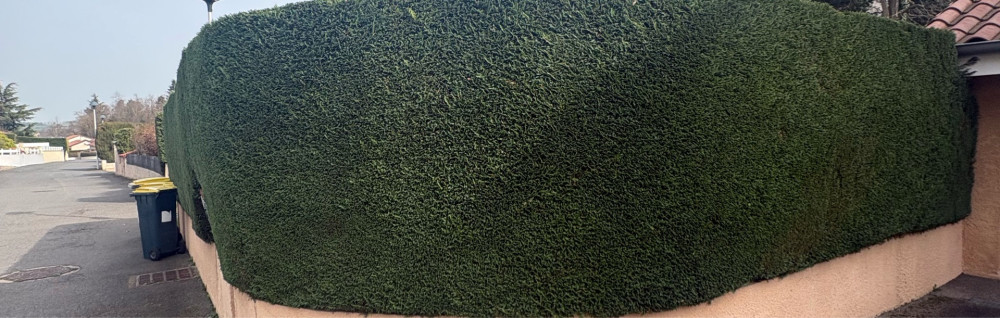 Thomas B. (Tb Jardin)