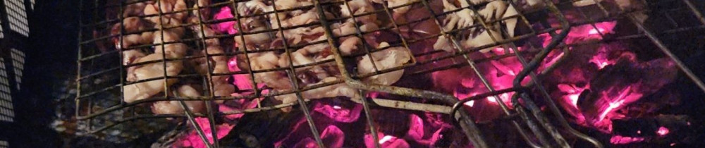 Anis G. (Its Plomberie)