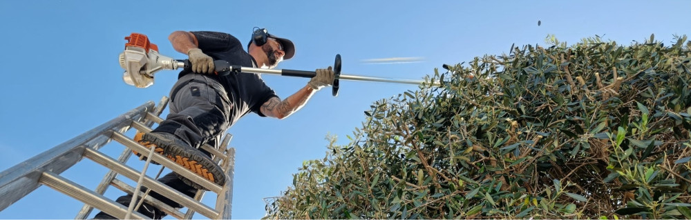 Antony D. (L'ame verte)