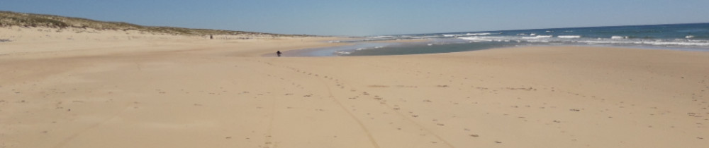 Jean-Pierre C. (candelon)