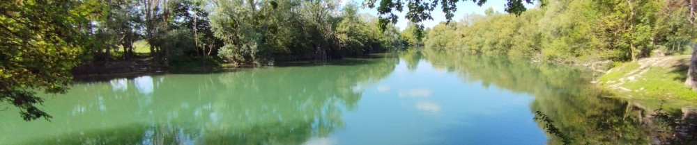 Francis R. (Francis Brico Service)