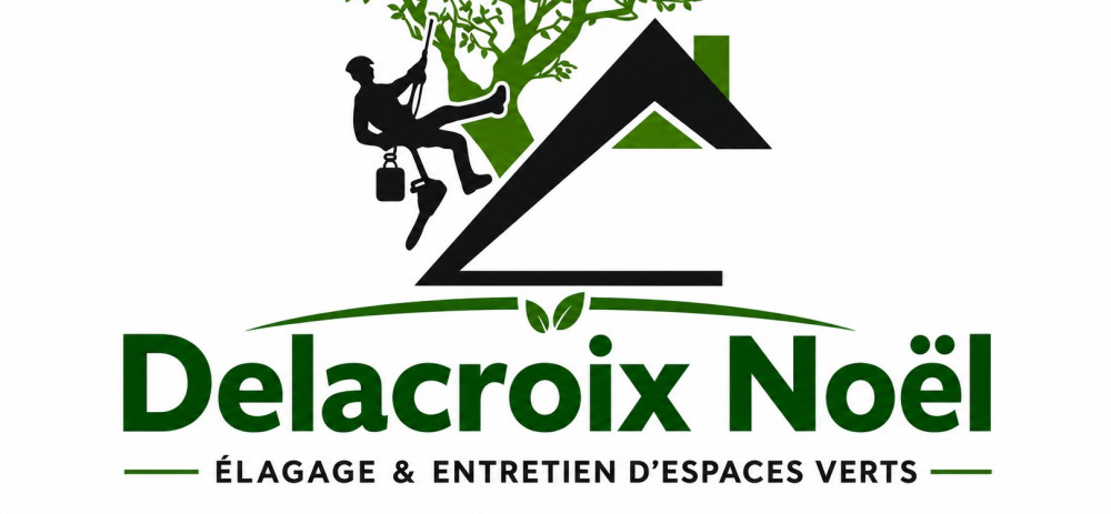 Noel D. (DELACROIX Noel)
