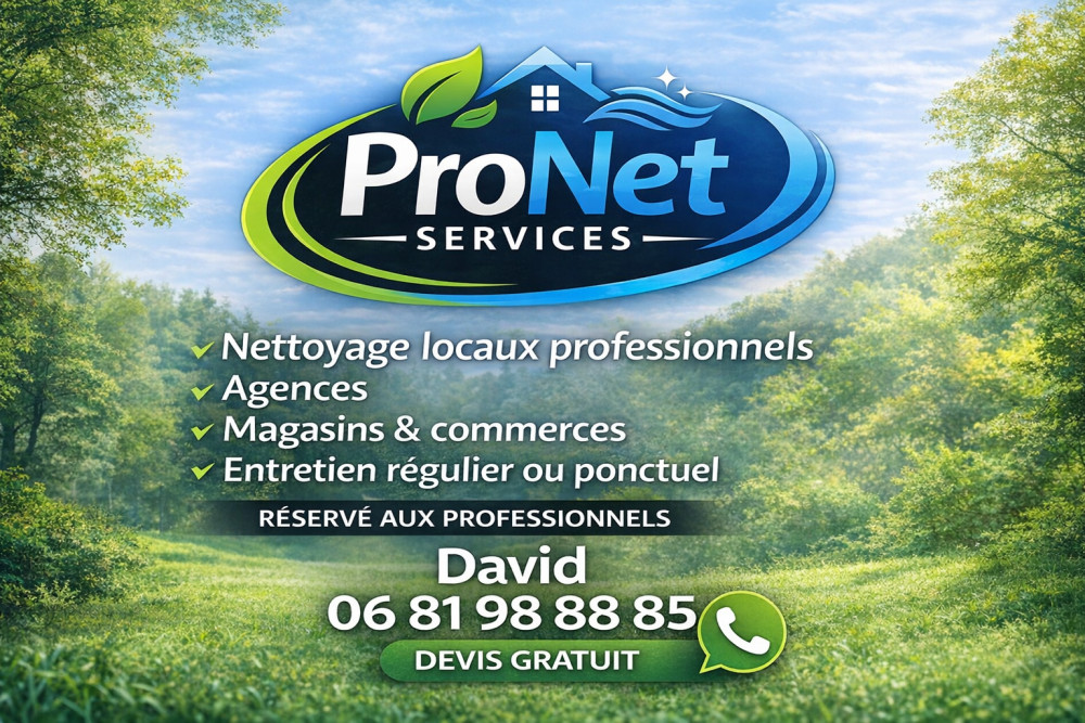 David K. (Pronet31services)