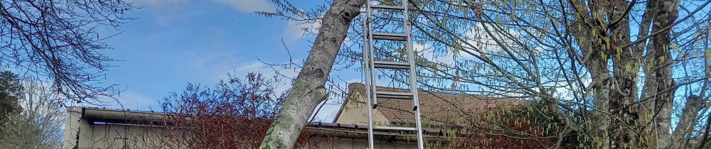 Anthony L. (A.L PEINTRE MULTI SERVICE)