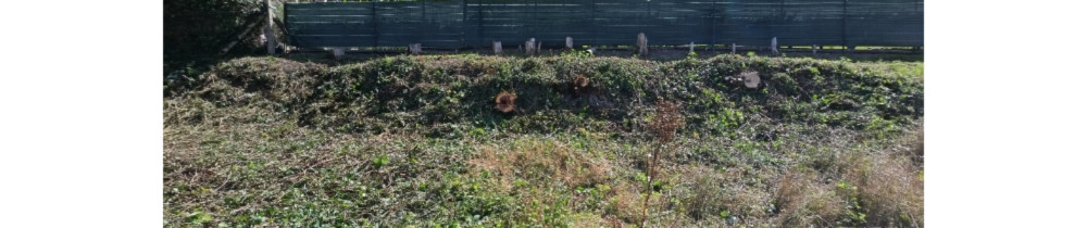 Benjamin M. (MBSERVICES)