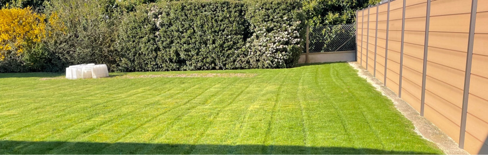 Matheo M. (Matheo28)