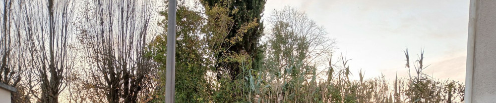 Loic M. (L.Multiservices17)