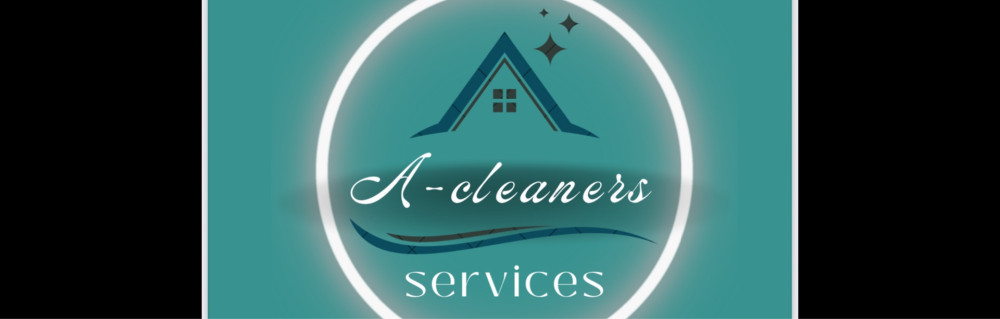 pro cleaners services