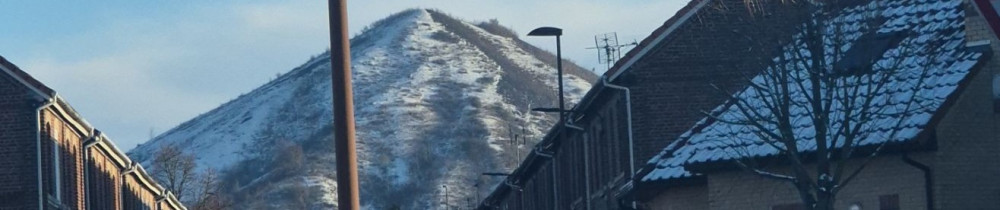 Mégane H. (Mégan'Hair)