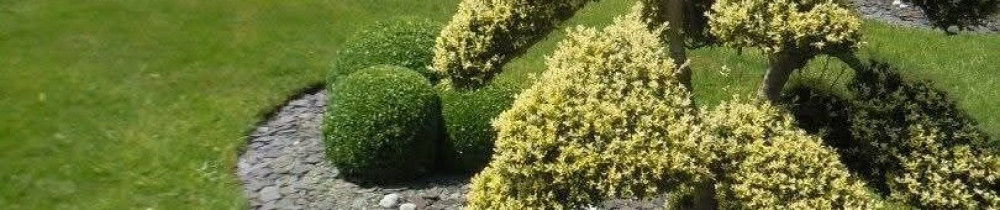 Jonathan B. (les jardins de JO)