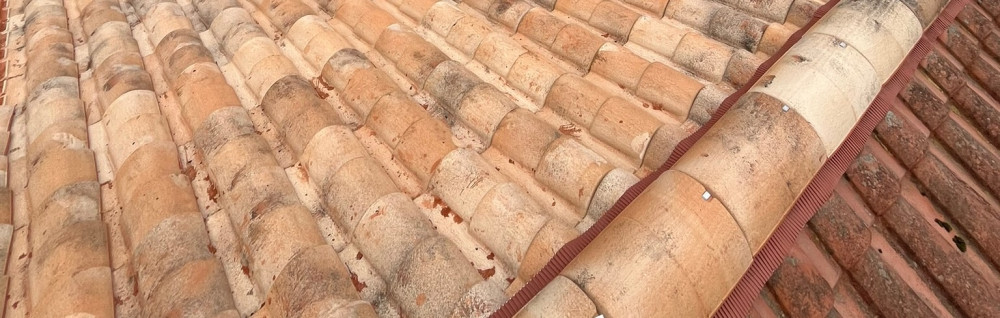 Vincent V. (Vincent Voisin)