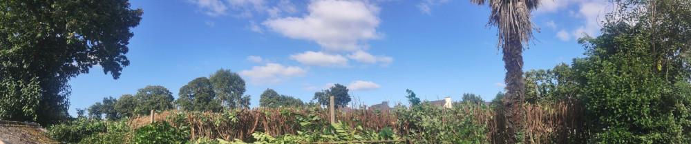 Florian C. (AFC paysagiste)