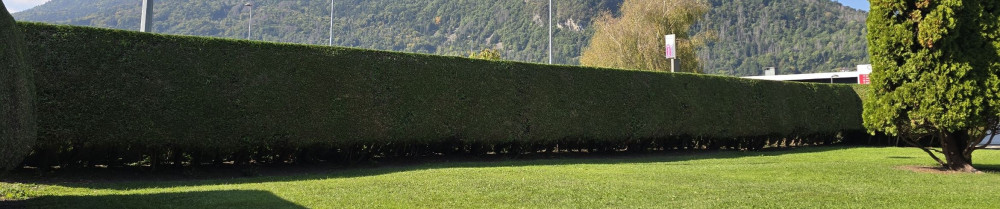 Florent T. (Multi'Vert)