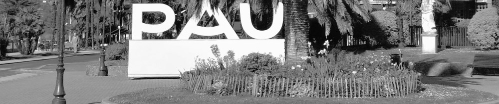 Diana D. (Madame Paloise)