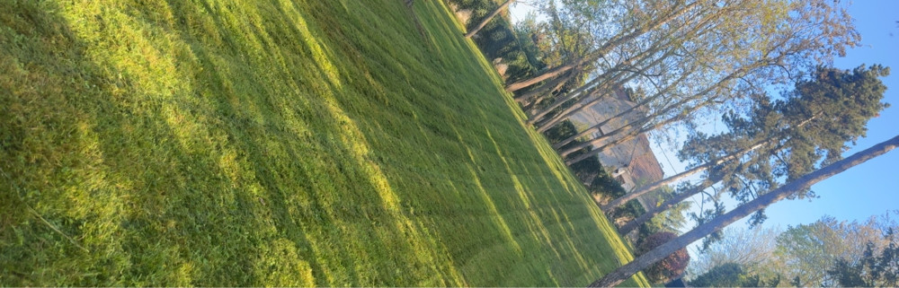 Dylan V. (Vingerder)