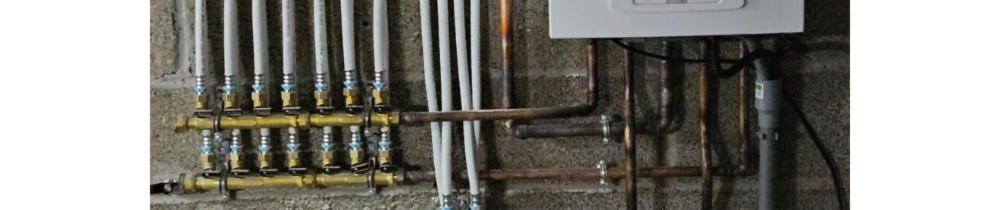 Dominique F. (DOMINIQUE FOREST)