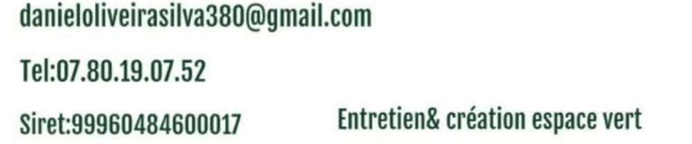 Daniel O. (Paysage Du Marais)